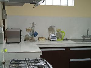 波托西Apartamento cómodo的厨房配有带搅拌机的台面
