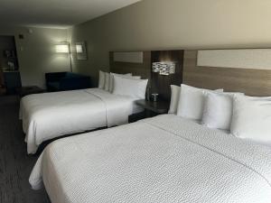 伯明翰伯明翰艾恩代尔东智选假日酒店的配有白色枕头的酒店客房内的两张床