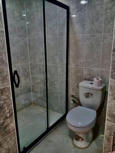 凡城Free House, elegant, fully equipped with sought after location in the city的一间带卫生间和玻璃淋浴间的浴室