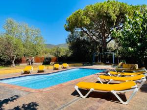 卡隆赫Strawberry villa的一个带黄色躺椅的游泳池和一个游泳池