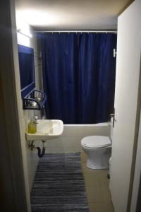克拉托坎波斯Anemos Holiday Houses - Unterkunft in Südkreta的浴室配有水槽、卫生间和蓝色的浴帘