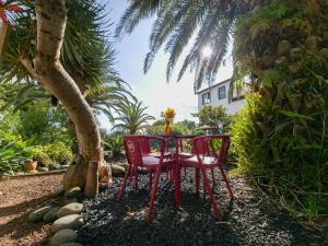 马达莱纳Loving Strangers Hostel的两把红色椅子坐在棕榈树下的桌子上