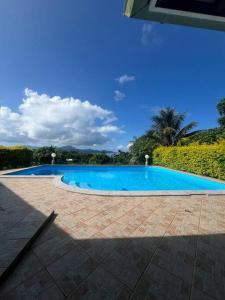 乌图罗阿Te Tai Marama的院子里的大型蓝色游泳池