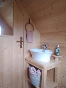 Luthenay-UxeloupLa Halte du Canal的木墙上带水槽的浴室
