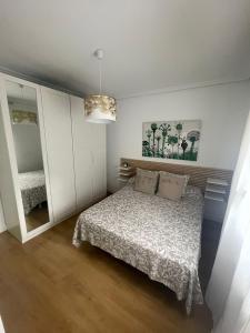阿尔巴塞特Precioso alojamiento céntrico con garaje, terraza y aire acondicionado的一间小卧室,配有一张床和镜子