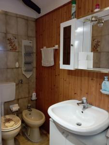 奇列Casa Alice的一间带水槽和卫生间的浴室