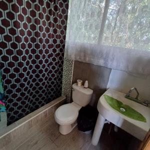 ChijoúParaiso Verde的一间带卫生间和水槽的浴室