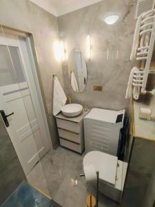 戈莱纽夫Apartament Inka的一间带水槽、卫生间和镜子的浴室