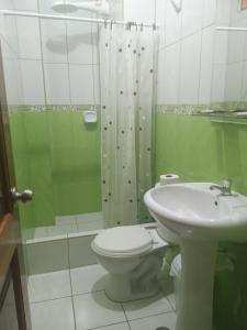 奥克萨潘帕Hospedaje "LOS QUETZALES DE OXAPAMPA"的浴室配有卫生间、淋浴和盥洗盆。