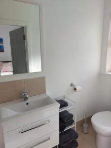 杜林Mountain Aven Guest House的浴室设有白色水槽和镜子