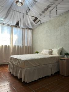 康塞普西翁德阿塔科Hostal Lenha的一间卧室设有一张带天花板的大床