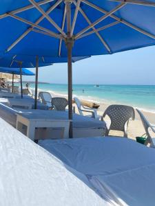 布兰卡滩MAR AZUL ISLA BARU, RESTAURANTE HOTEL.的海滩上设有桌椅和蓝伞