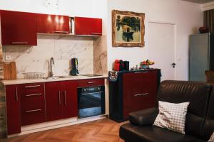 蒂耶里堡L'Alouette - Appartement 60m2 PMR的一间厨房,内设红色橱柜和一张沙发