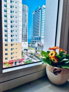 岘港Delicate Serviced Apartment And Hotel的窗台上一束花