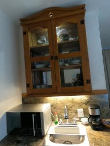 塔斯科·德·阿拉尔孔Casita la adornada的厨房柜台配有微波炉和水槽