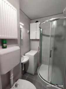 沙托劳尔尧乌伊海伊LBB apartman的带淋浴、卫生间和盥洗盆的浴室