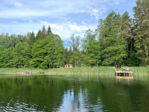 KaltanėnaiMiško Maudynės的湖面上设有长凳和房子