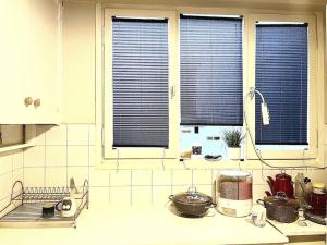 伊兹密尔Cozy House的厨房设有2扇带蓝色百叶窗的窗户