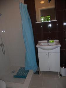 莫斯塔尔Apple Line Appartments的浴室配有水槽和带浴帘的淋浴