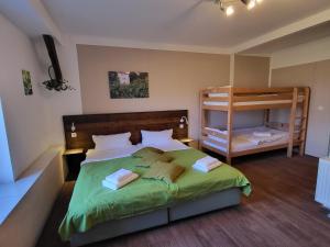 KehnertGutshof Kehnert - Pension & Ferienwohnungen的一间卧室配有一张床和一张双层床。