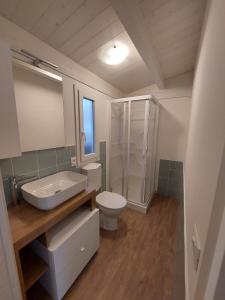 布雷佐内加尔达Camping Le Maior的一间带水槽、卫生间和淋浴的浴室
