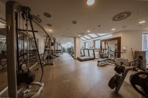 布拉迪斯拉发希尔顿逸林酒店布拉迪斯拉发的健身房,配有许多跑步机和机器