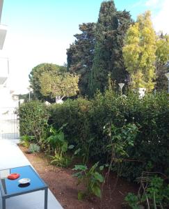圣维托诺曼Suite Europa的灌木丛前带蓝色长椅的花园