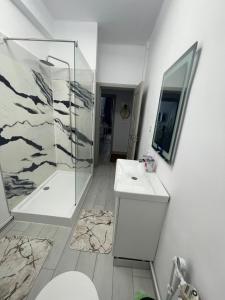 巴克乌E&N ACCOMMODATION的浴室配有卫生间、盥洗盆和淋浴。