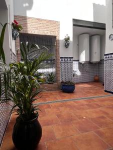 马拉加Shanti’s Andalusian Rooms的庭院,铺着瓷砖地板,种植了盆栽植物