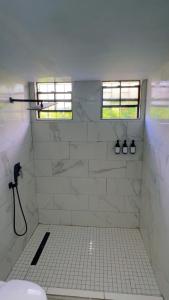 维约堡Dream Stay Studio 2的浴室设有白色瓷砖淋浴和2扇窗户