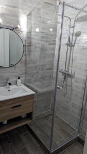 米卢斯Escapade Mulhousienne的带淋浴、水槽和镜子的浴室