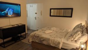 米卢斯Escapade Mulhousienne的一间卧室配有一张床和一台平面电视