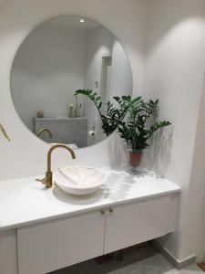 哈尔姆斯塔德Stan- och strandnära poolvilla.的浴室水槽,配有镜子和植物