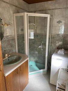 布利安什维莱La Terasse des Vignes - Maison 2 Chambres - 4 Personnes的带淋浴和盥洗盆的浴室