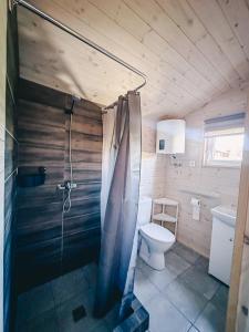 斯文托伊Ramybės kampelis的一间带卫生间和淋浴的浴室。