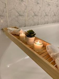 维勒帕里西L’Emeraude的浴缸里装有蜡烛和盆栽植物的木托盘
