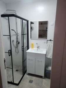 埃拉特Shalom's place的带淋浴、盥洗盆和镜子的浴室