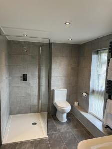 圣艾夫斯Dolphin Hotel Cambridge的一间带卫生间和玻璃淋浴间的浴室