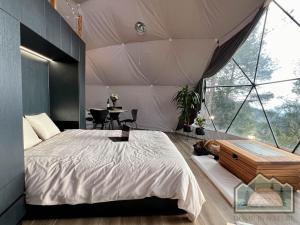 拉纳卡Dome in Nature的帐篷内一间卧室,配有一张大床