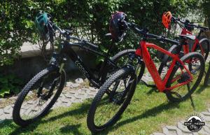 巴尔瓦尼亚Evergreen Balvanyos的两辆自行车停在草地上,彼此相邻