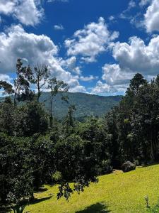 Hacienda Verde Luz的绿地绿树成荫,蓝天云