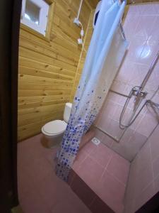QabanbayДом Отдыха Айзада的一间带卫生间和淋浴帘的浴室
