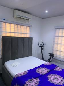 阿布贾Adel’s Place的一间卧室配有一张床、一把椅子和窗户。