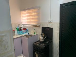 阿布贾Adel’s Place的小厨房配有炉灶和水槽