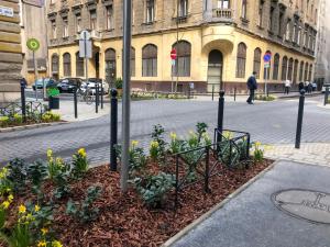 布达佩斯迪普旅舍的城市街道中央的花坛