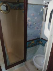 JewfishDream Lady的带淋浴和卫生间的浴室