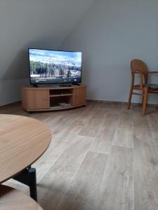 沃尔夫斯堡3 Zimmerwohnung am Neuer Teich的客厅配有平面电视和桌子。