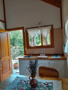 拉安戈斯图拉镇Casa de montaña Tierras del sur I的厨房配有桌子、水槽和窗户