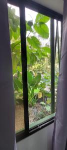 德雷克Corcovado & Drake Inn的窗户享有外面的花园的景致。