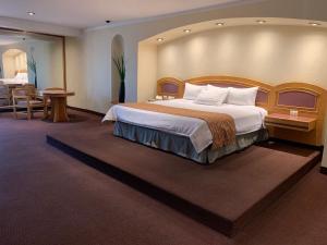 克雷塔罗Hotel Mirage - Centro Histórico de Querétaro的酒店客房设有一张大床和一张桌子。
